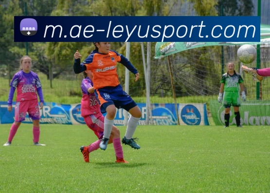 乐鱼体育服务体系